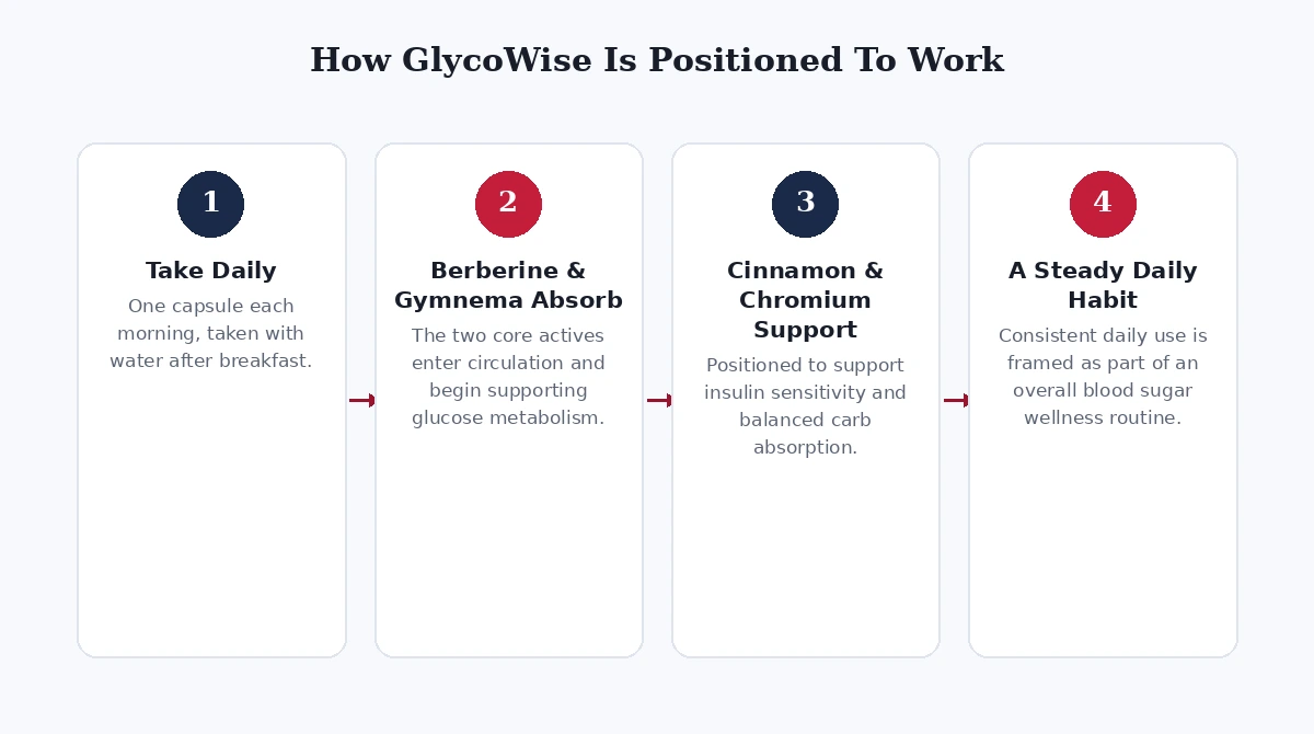 How GlycoWise works: take daily, berberine and gymnema absorb, cinnamon and chromium support, steady daily habit